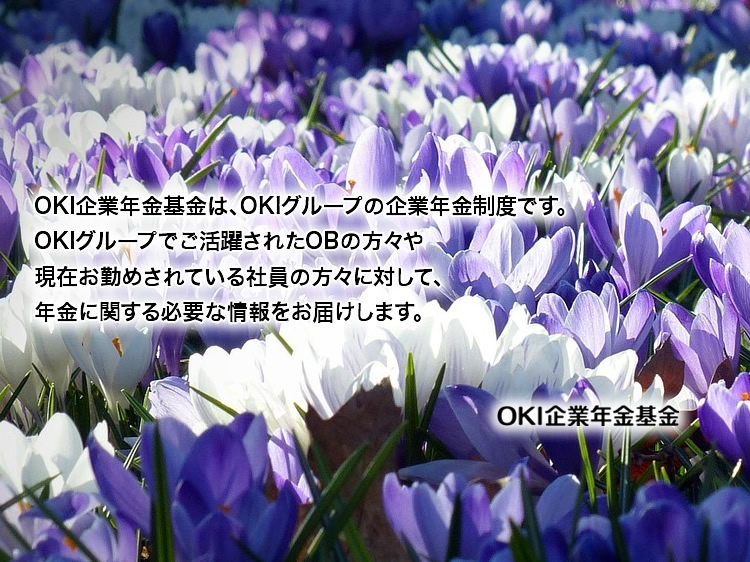 OKI企業年金基金は、OKIグループの企業年金制度です。OKIグループでご活躍されたOBの方々や現在お勤めされている社員の方々に対して、年金に関する必要な情報をお届けします。